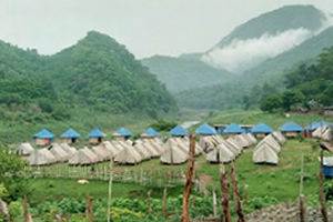 Kolluru Bamboo Huts Stay