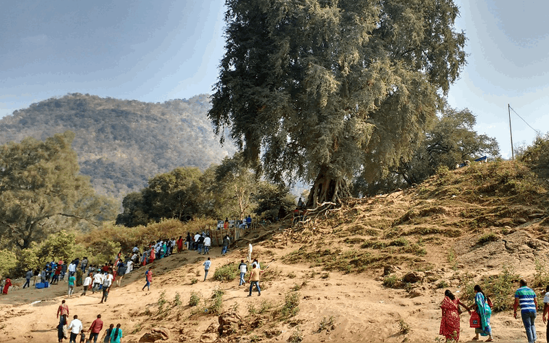 Papikondalu Travel Information